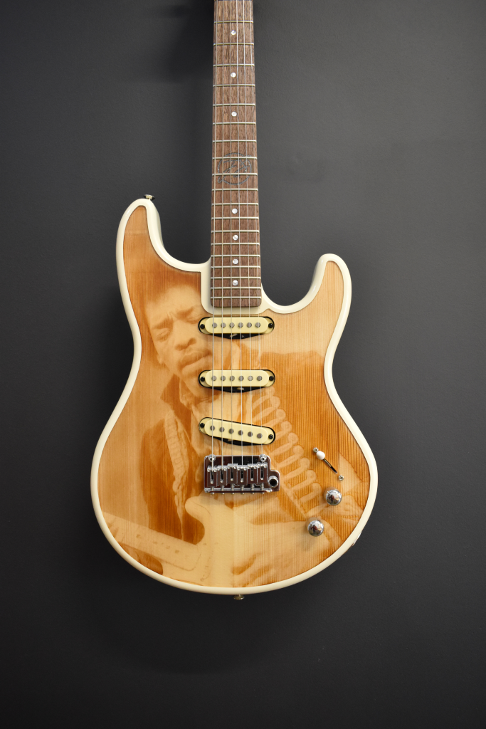 The Electric Luthier44320676